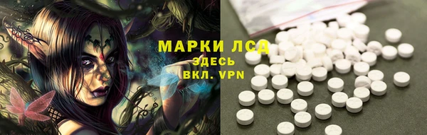 сатива Белоозёрский