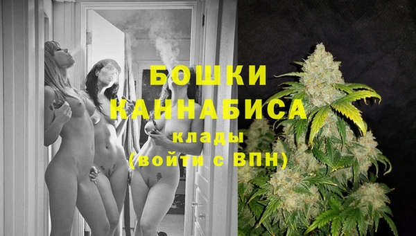 ешки Белокуриха