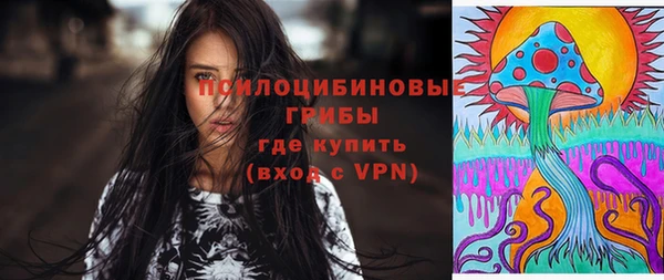 ешки Белокуриха