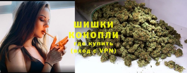 ешки Белокуриха