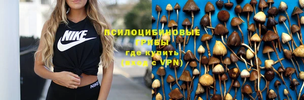 дживик Гусев